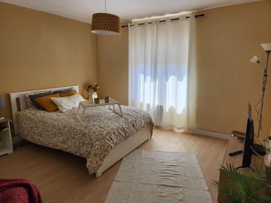 Moderno Apartamento Cerca Del Centro En 레온 외부 사진